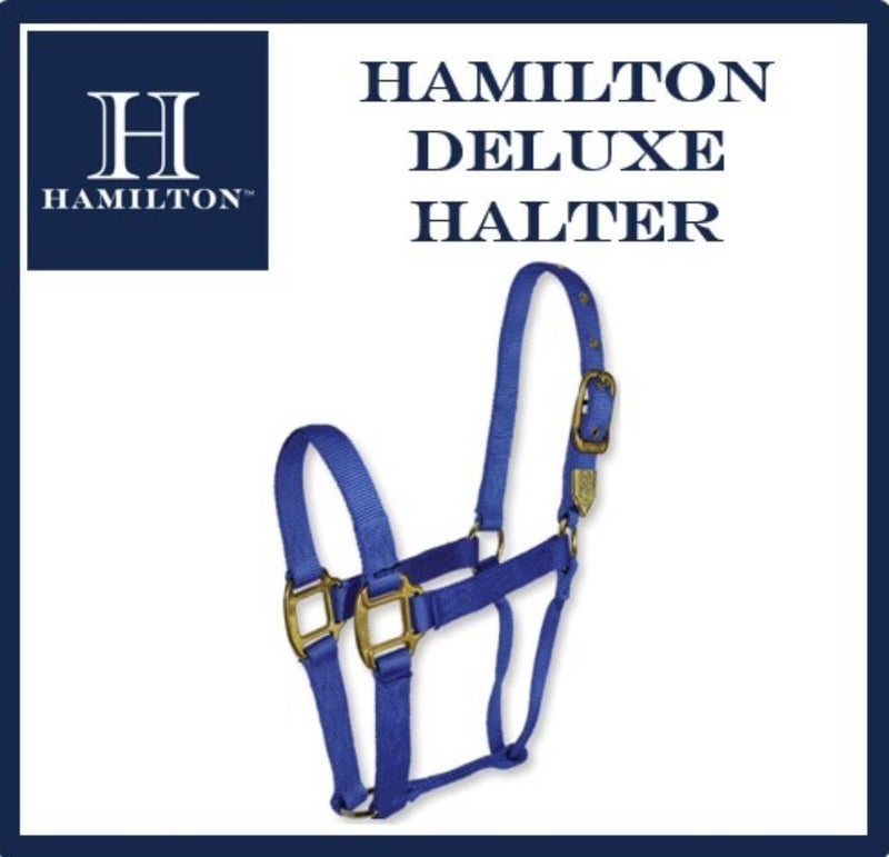 Hamilton Deluxe Horse Halter, 1" Triple Ply Nylon, Yearling or Standard Donkey, 300-500 lbs, Berry Blue - Image 5